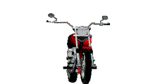 animated bike1.gif